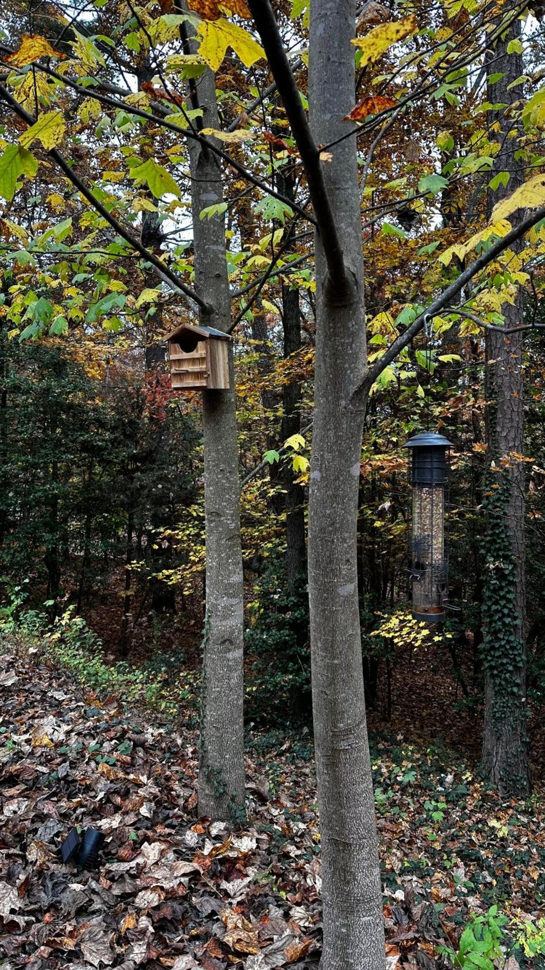 Appalachian Mountain Cabin-Updated-Private-Rafting On Ocoee River-Hiking-Waterfalls-Wifi-Pets Ok Murphy Kültér fotó