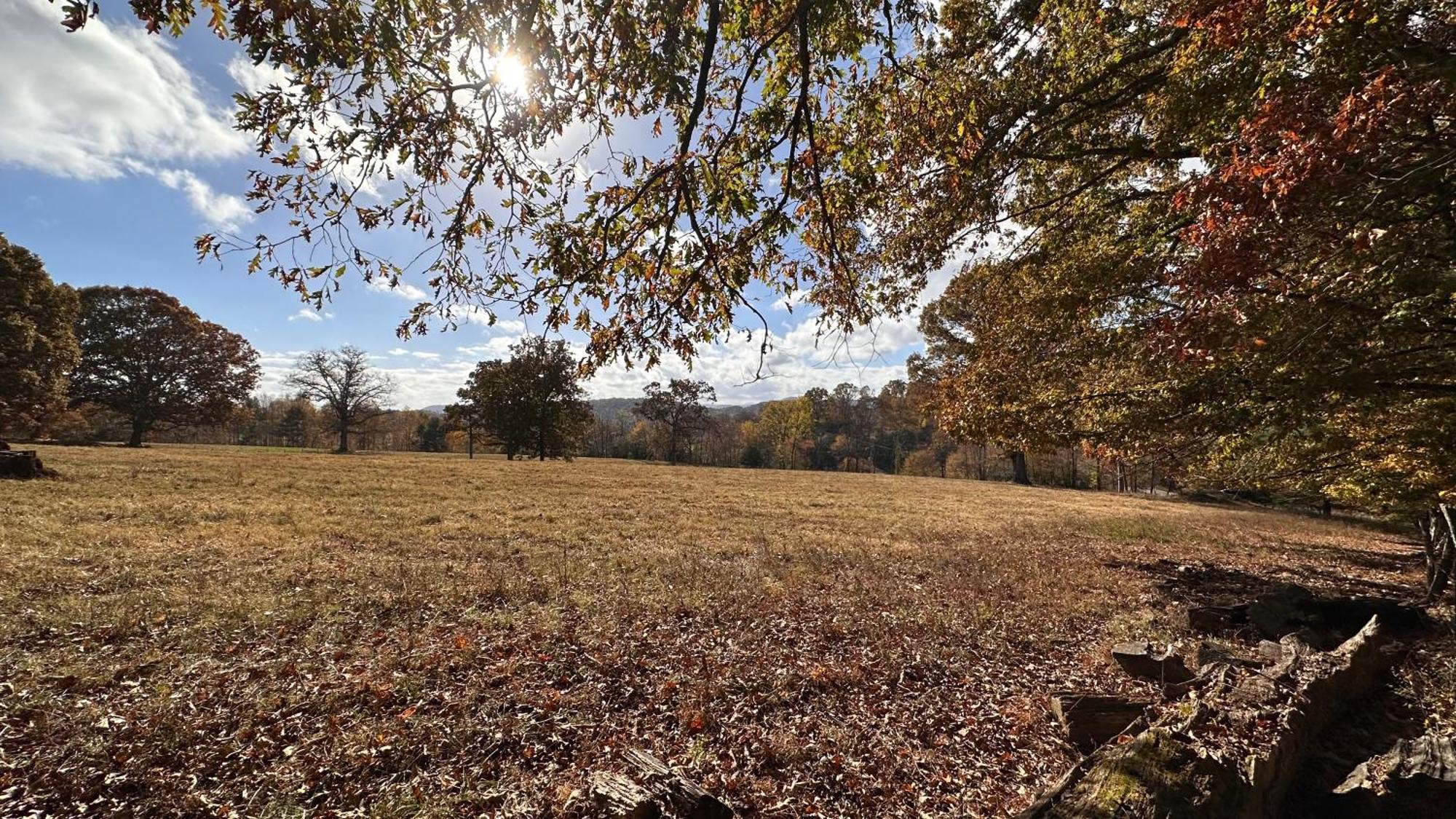 Appalachian Mountain Cabin-Updated-Private-Rafting On Ocoee River-Hiking-Waterfalls-Wifi-Pets Ok Murphy Kültér fotó